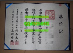 <b>Chiba University Dip</b>