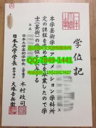 <b>Nihon University Dip</b>