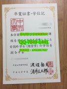 <b>Chuo University Dipl</b>