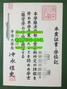 <b>Teikyo University Di</b>