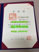 <b>Kobe University Dipl</b>