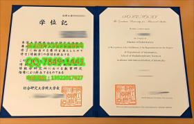 <b>Graduate University </b>