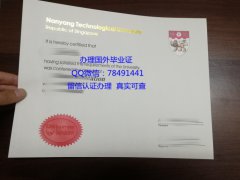 <b>Nanyang Technologica</b>