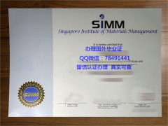 <b>Singapore Institute </b>