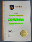 <b>Raffles Design Insti</b>
