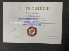 <b>Shines Institute Dip</b>