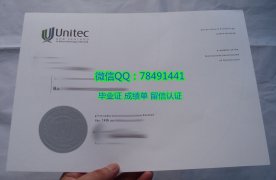 <b>Unitec Institute of </b>