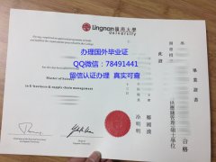 <b>Lingnan University D</b>