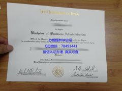 <b>The University of Io</b>