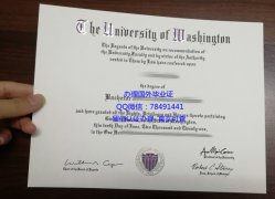 <b>University of Washin</b>