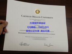 <b>Carnegie Mellon Univ</b>