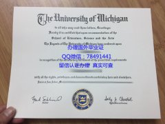 <b>University of Michig</b>