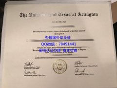 <b>University of Texas </b>