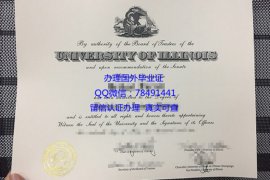 <b>University of Illino</b>