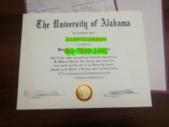<b>University of Alabam</b>