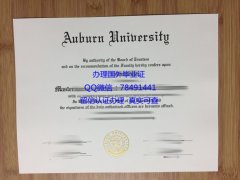 <b>Auburn University Di</b>