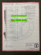 <b>������������������ѧ</b>