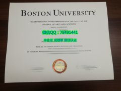 <b>Boston University Di</b>