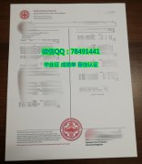 <b>����������ʿ�D��W��</b>