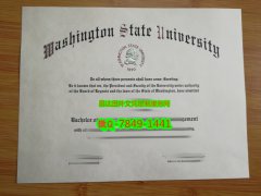 <b>Washington State Uni</b>