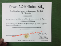 <b>Texas A&M Univer</b>