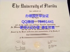 <b>University of Florid</b>