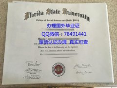 <b>Florida State Univer</b>